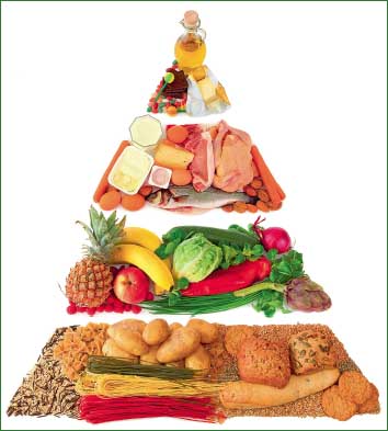 Законы правильного питания