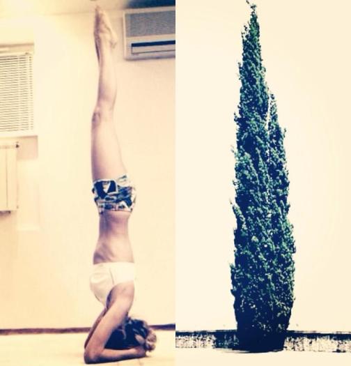 Вера Брежнева заявила про свою фигуру – что она дерево