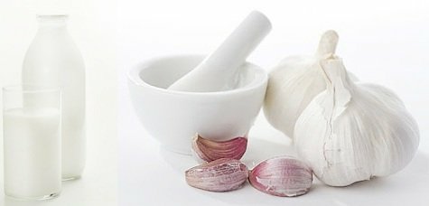 Как избавиться от глистов? Профилактика и народные средства от глистов