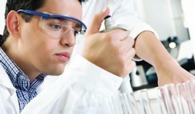 Ученые определили белок, способный создавать здоровые продукты