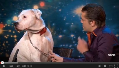 Собака исполнила песню Уитни Хьюстон на телешоу