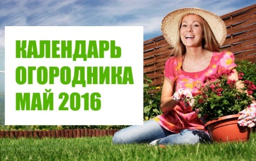 Лунный посевной календарь огородника садовода на май 2016 года Украина